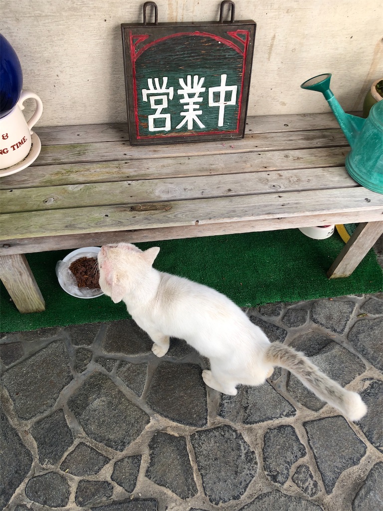 f:id:annesea:20201004214053j:image