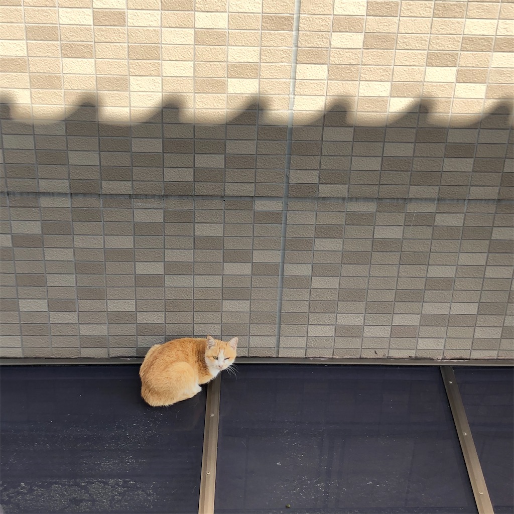 f:id:annesea:20201004214127j:image