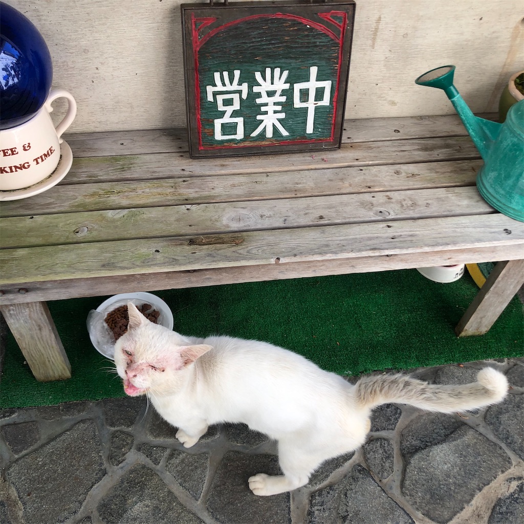 f:id:annesea:20201004214138j:image