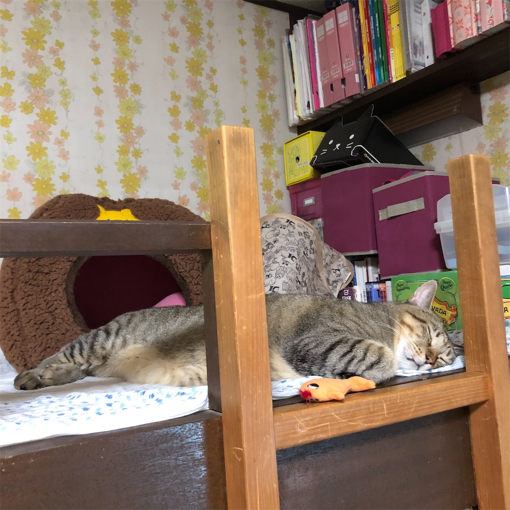 f:id:annesea:20201004214244j:image