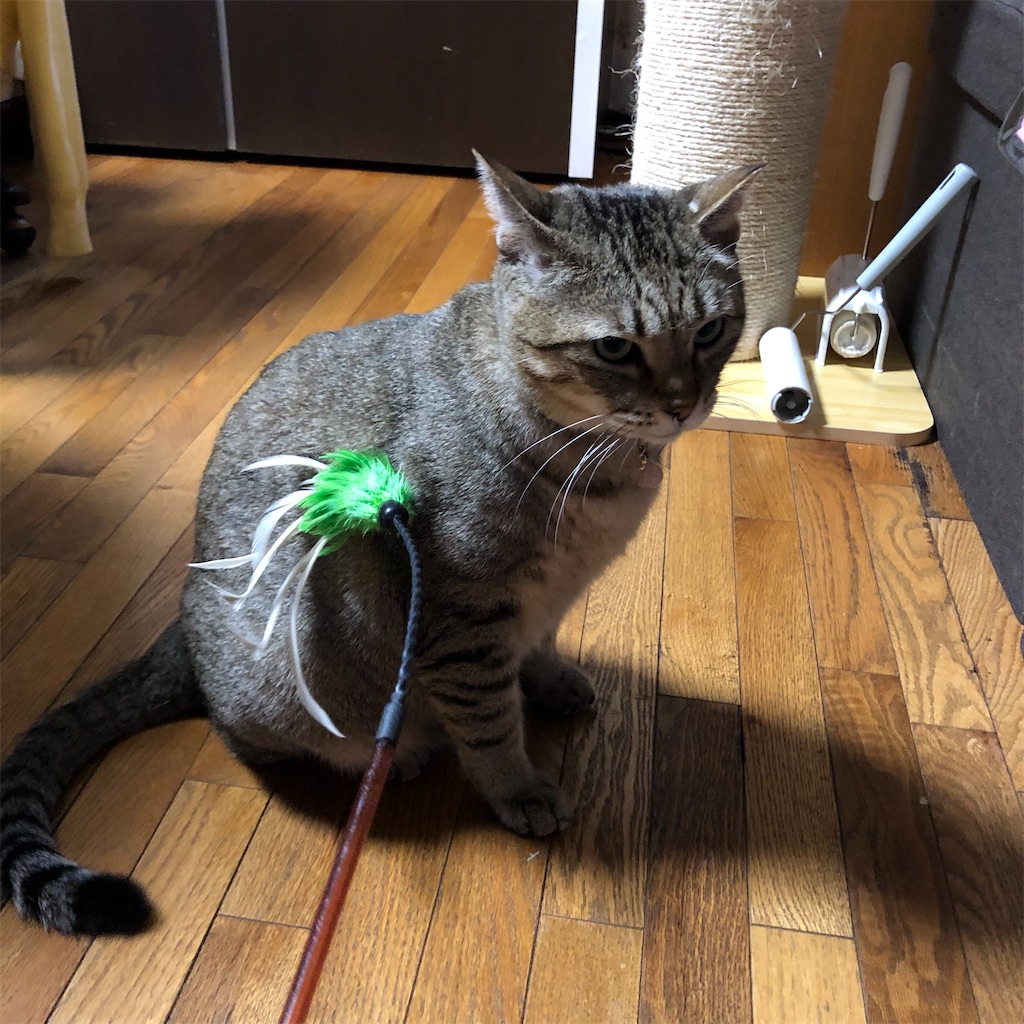 f:id:annesea:20201014151602j:image