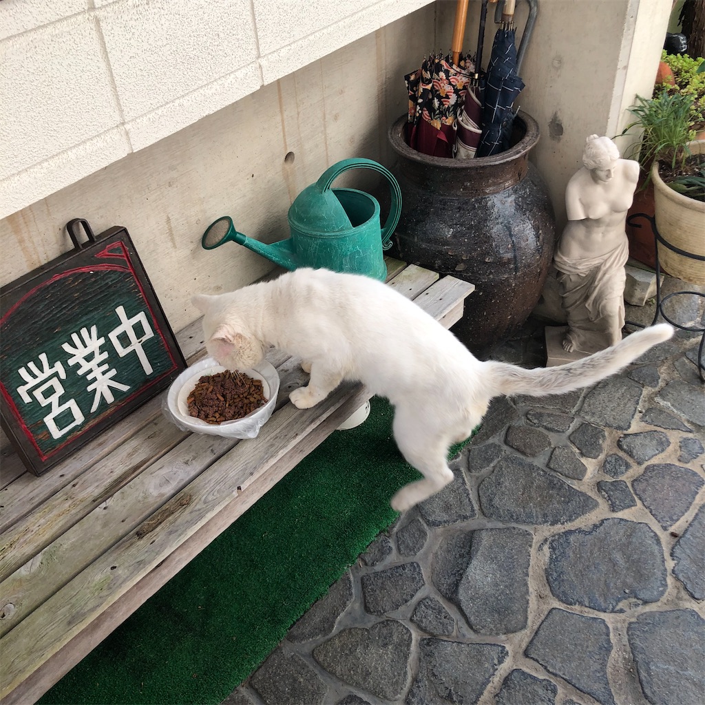 f:id:annesea:20201021154056j:image