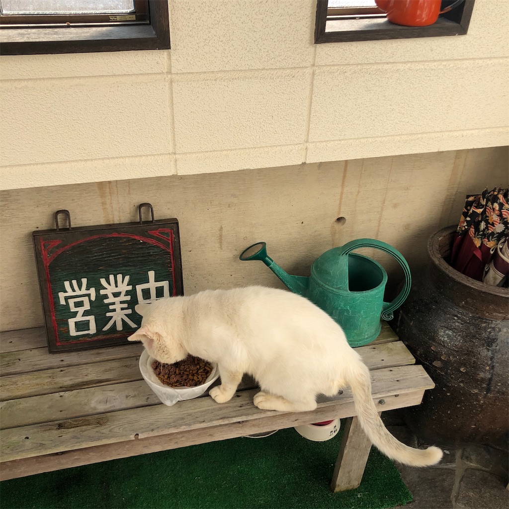 f:id:annesea:20201021154242j:image