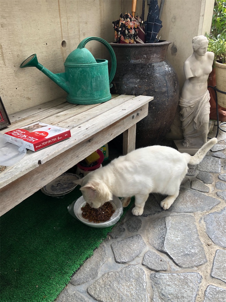f:id:annesea:20201021154319j:image