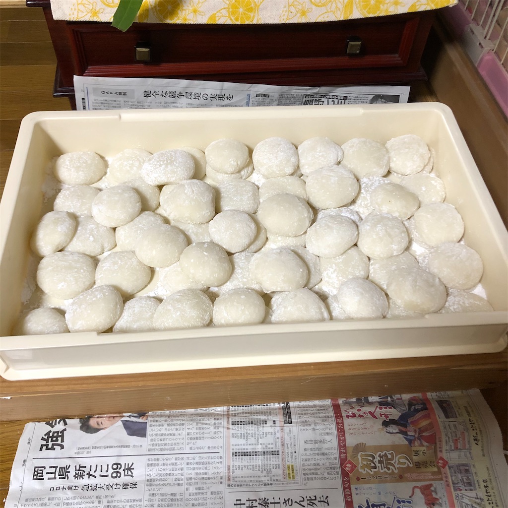 f:id:annesea:20201231223610j:image