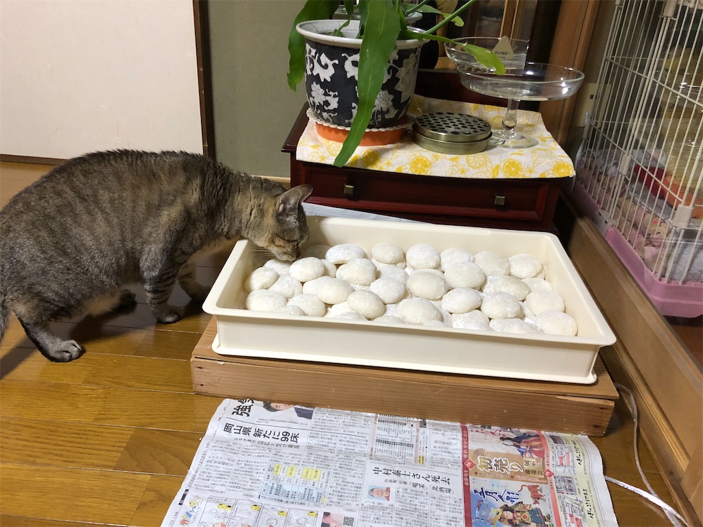 f:id:annesea:20201231223618j:image