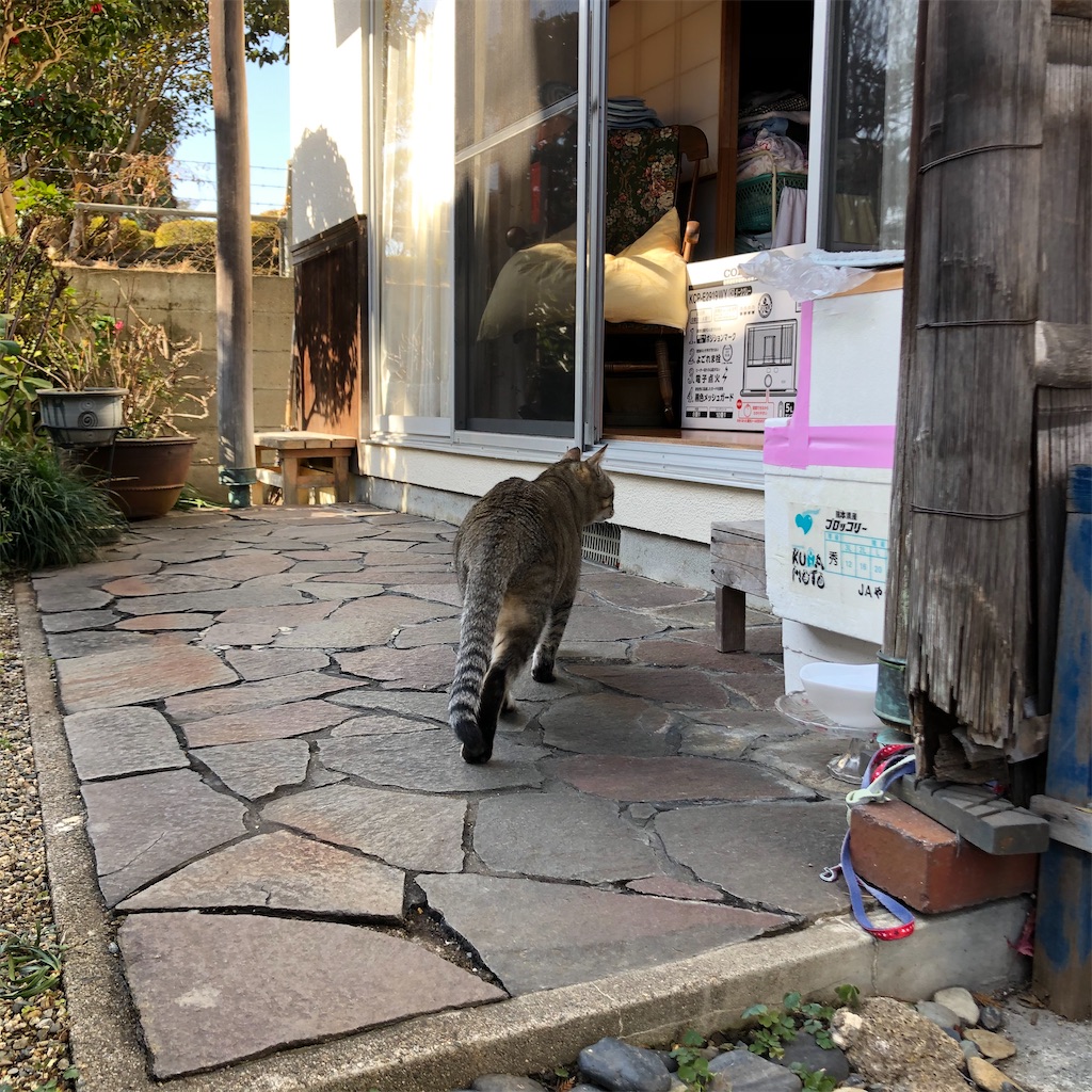 f:id:annesea:20210126182251j:image