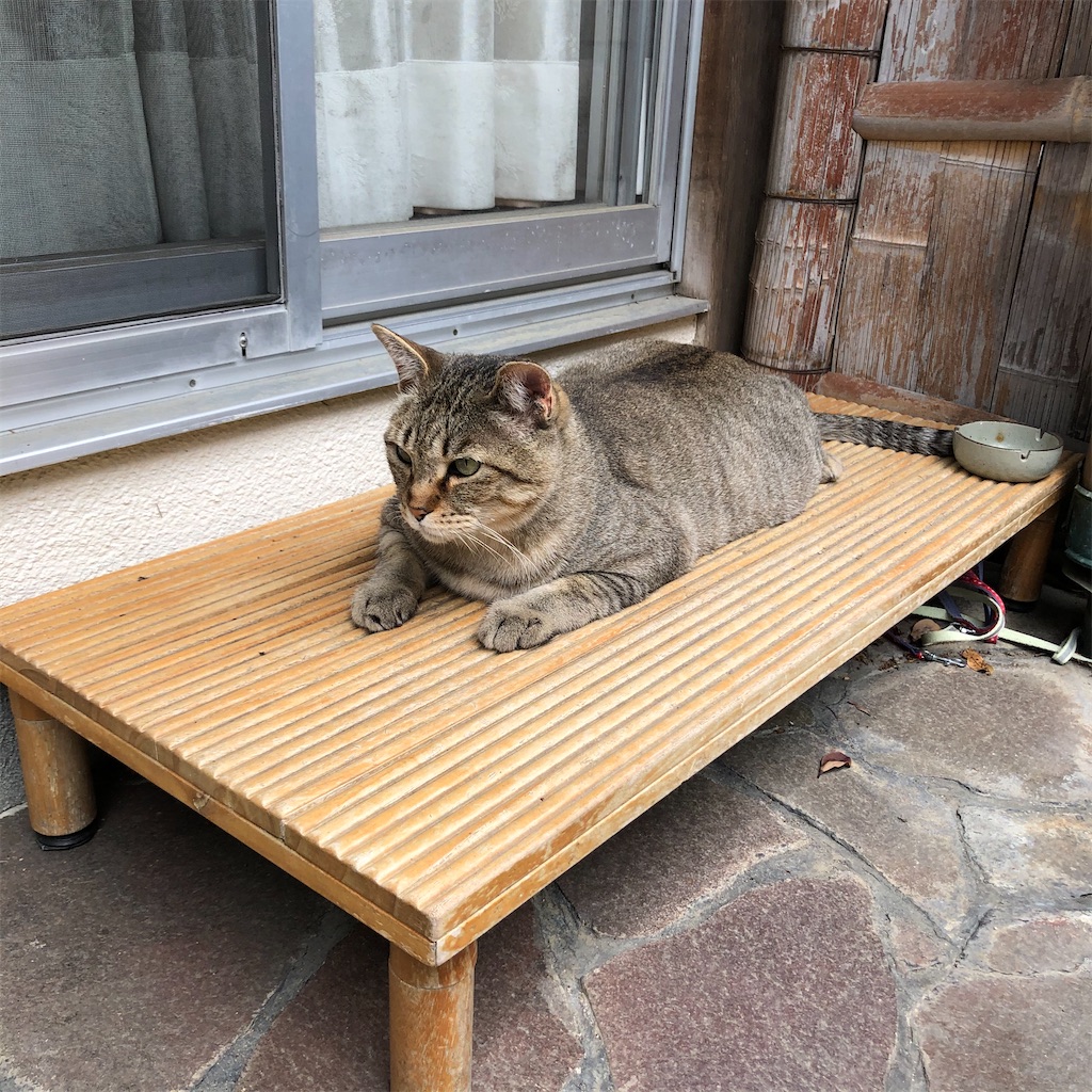 f:id:annesea:20210511202344j:image