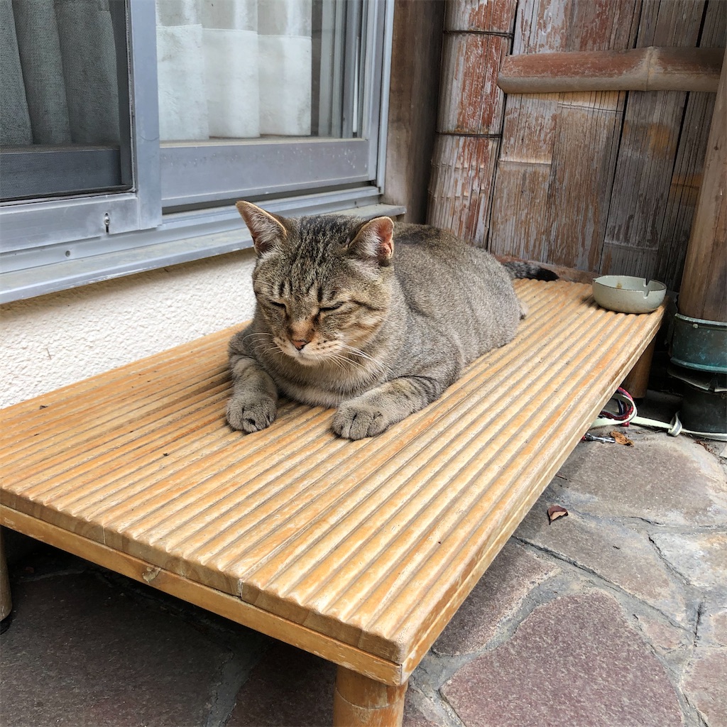 f:id:annesea:20210511202352j:image f:id:annesea:20210511202352j:image