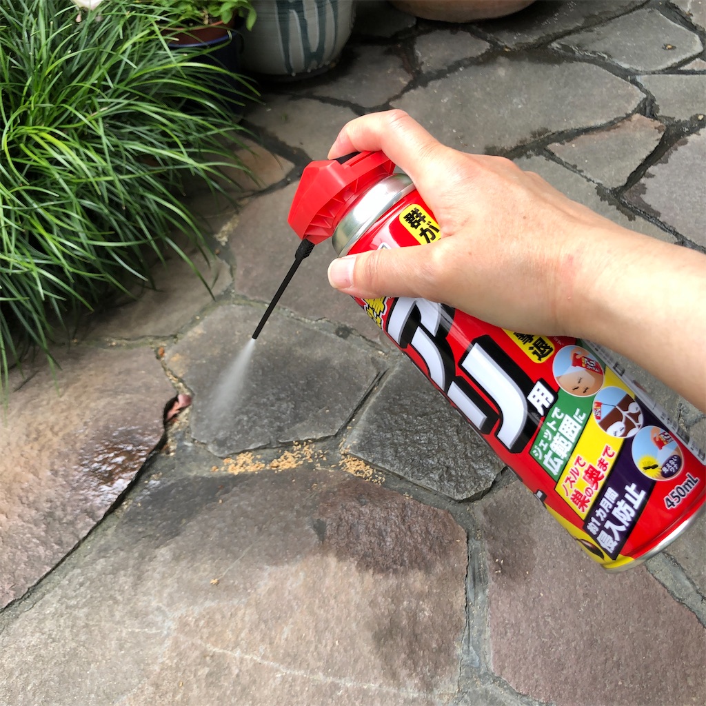 f:id:annesea:20210511202356j:image f:id:annesea:20210511202356j:image