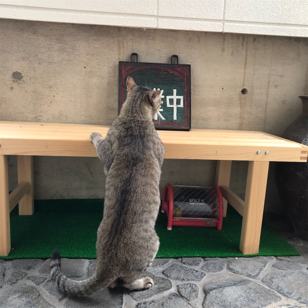 f:id:annesea:20210518212452j:image