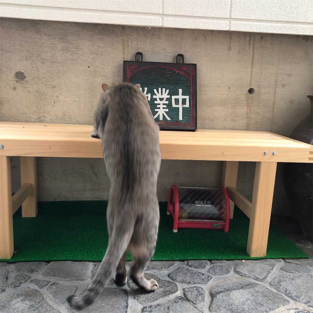 f:id:annesea:20210518212543j:image
