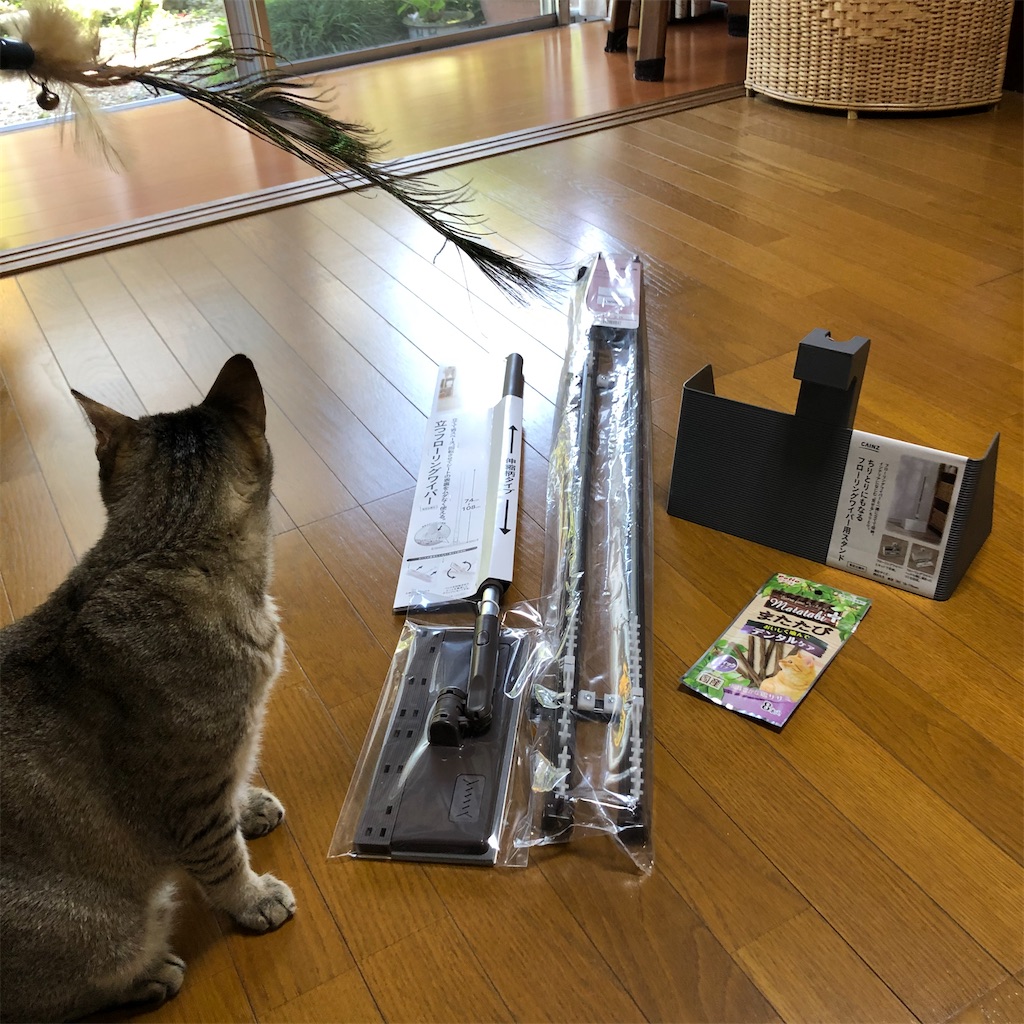 f:id:annesea:20210604000823j:image