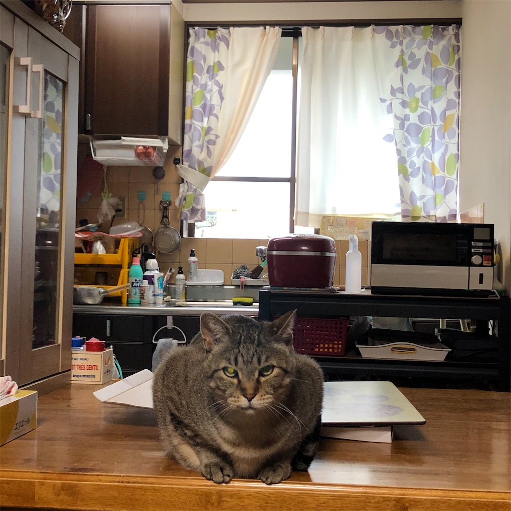 f:id:annesea:20210604000826j:image