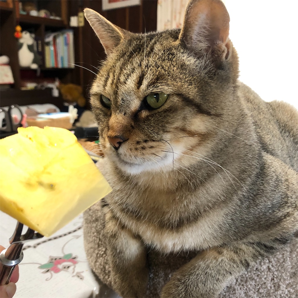 f:id:annesea:20210606145201j:image f:id:annesea:20210606145201j:image