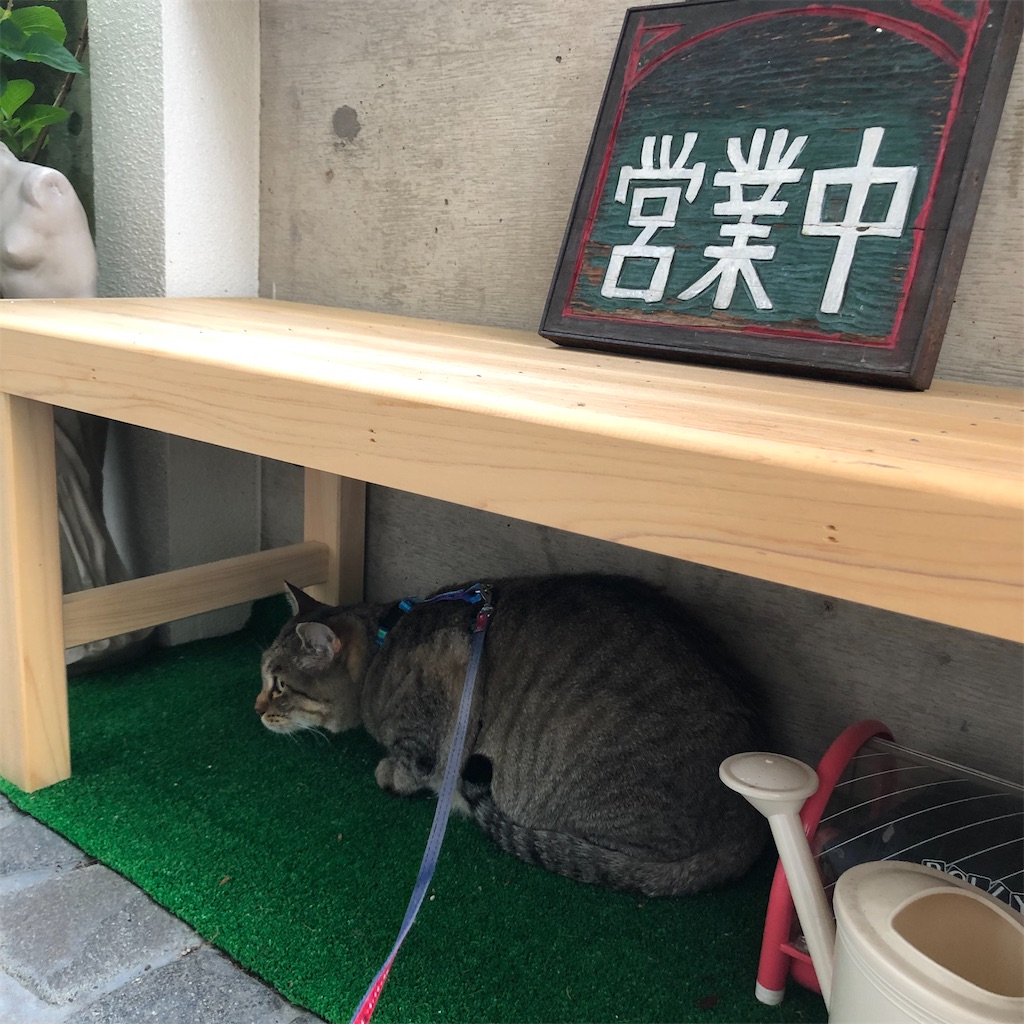 f:id:annesea:20210614011004j:image
