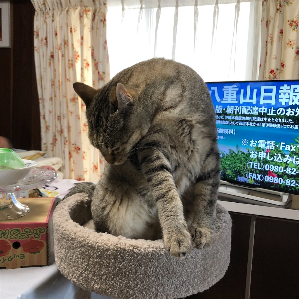 f:id:annesea:20210615224426j:image