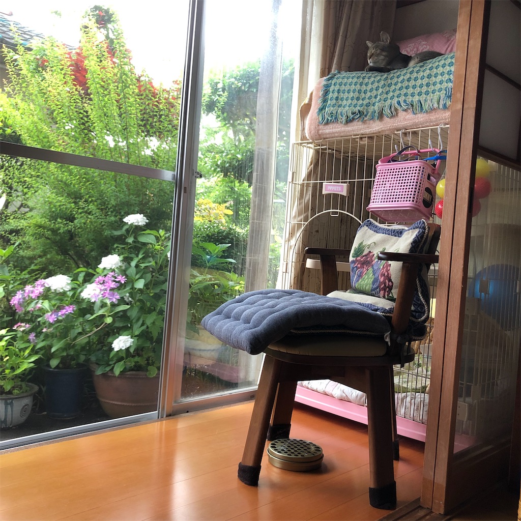 f:id:annesea:20210618002144j:image