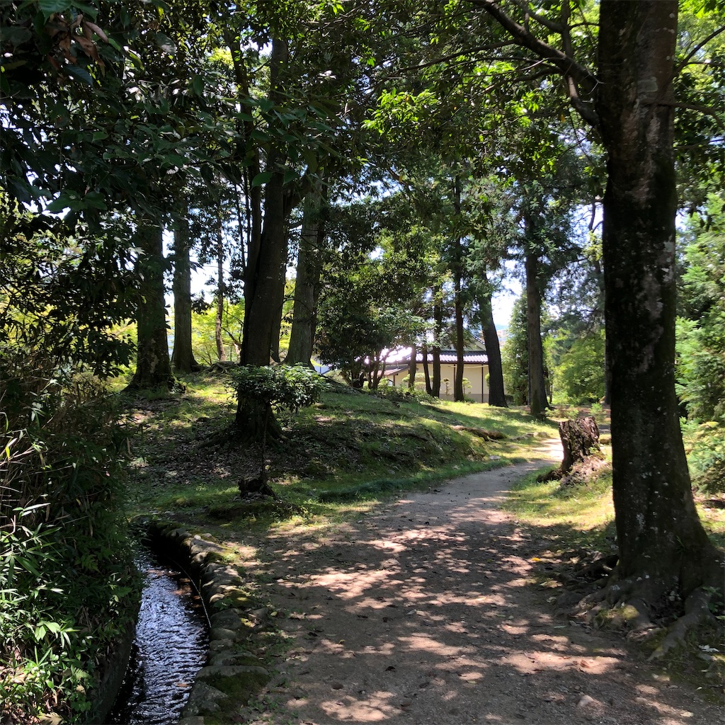 f:id:annesea:20210621201053j:image