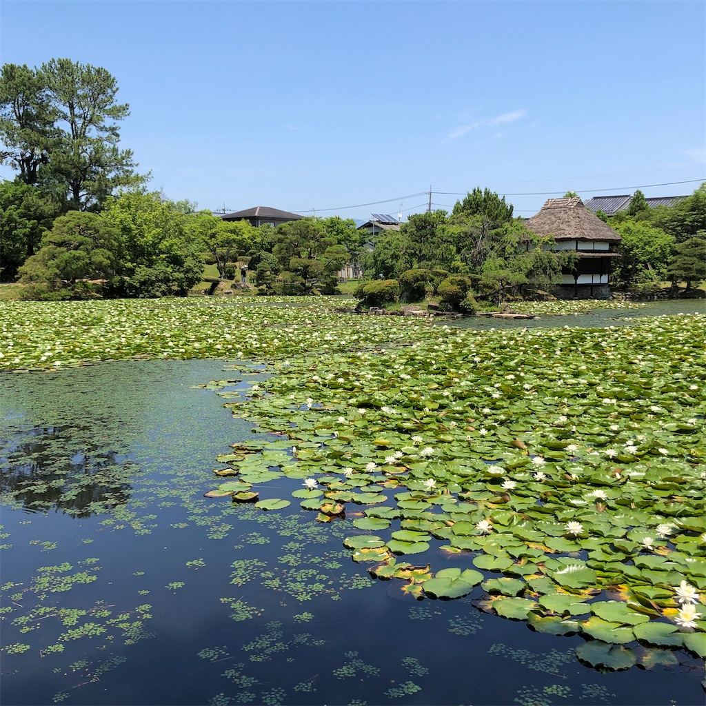 f:id:annesea:20210621201057j:image