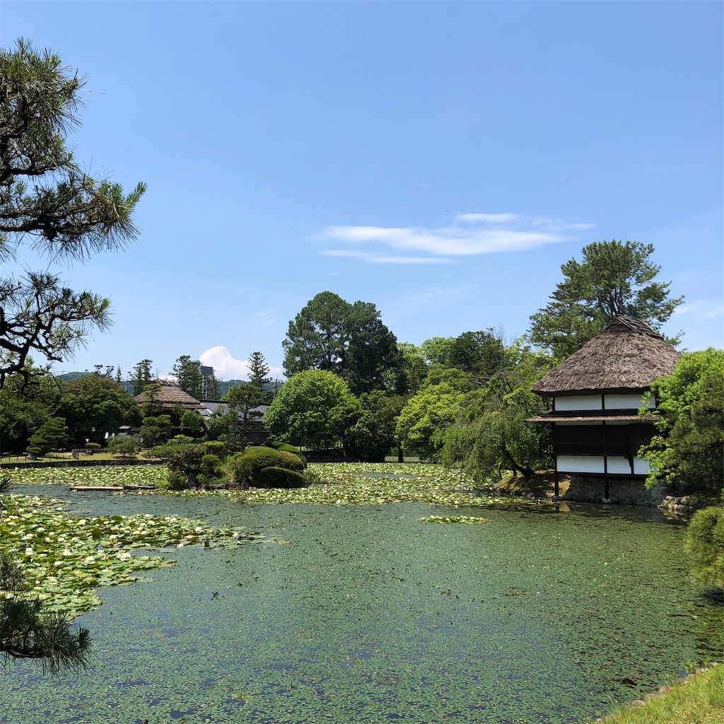 f:id:annesea:20210621201115j:image