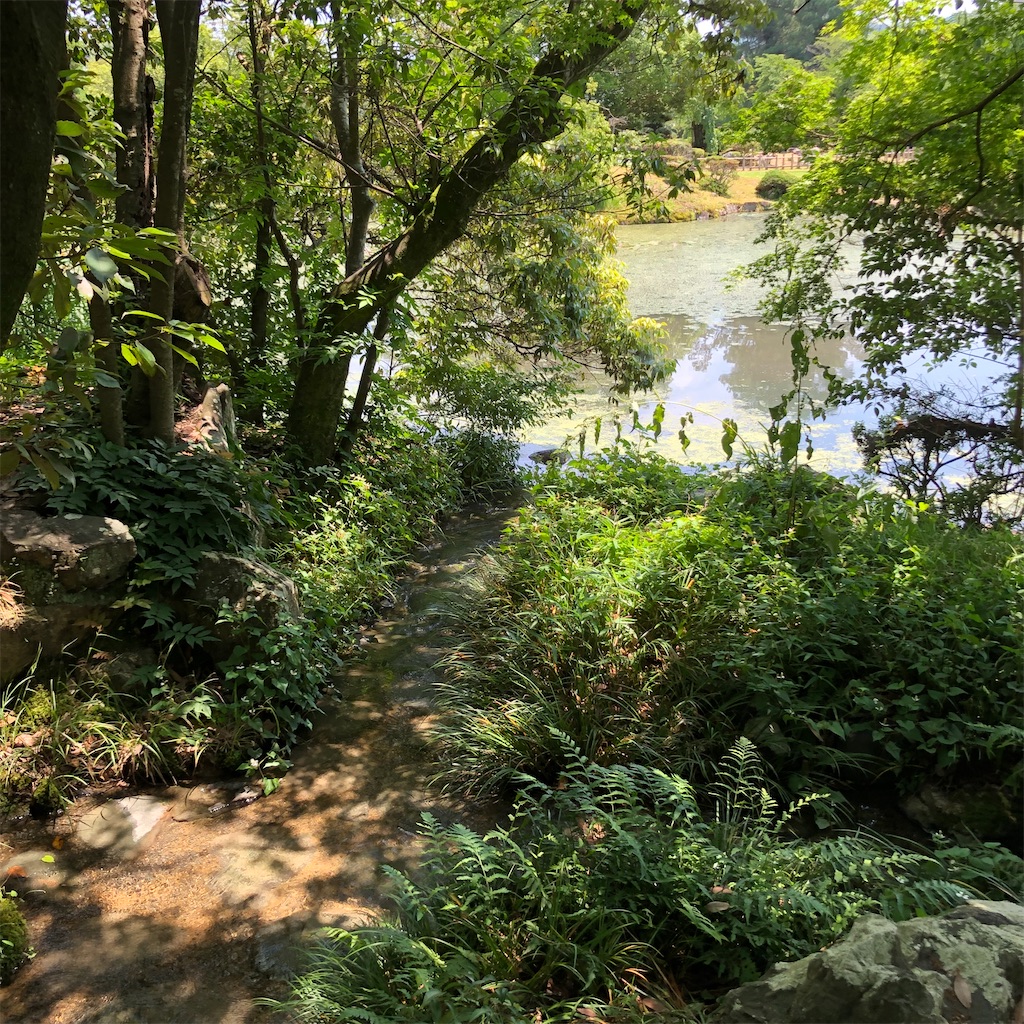 f:id:annesea:20210621201122j:image