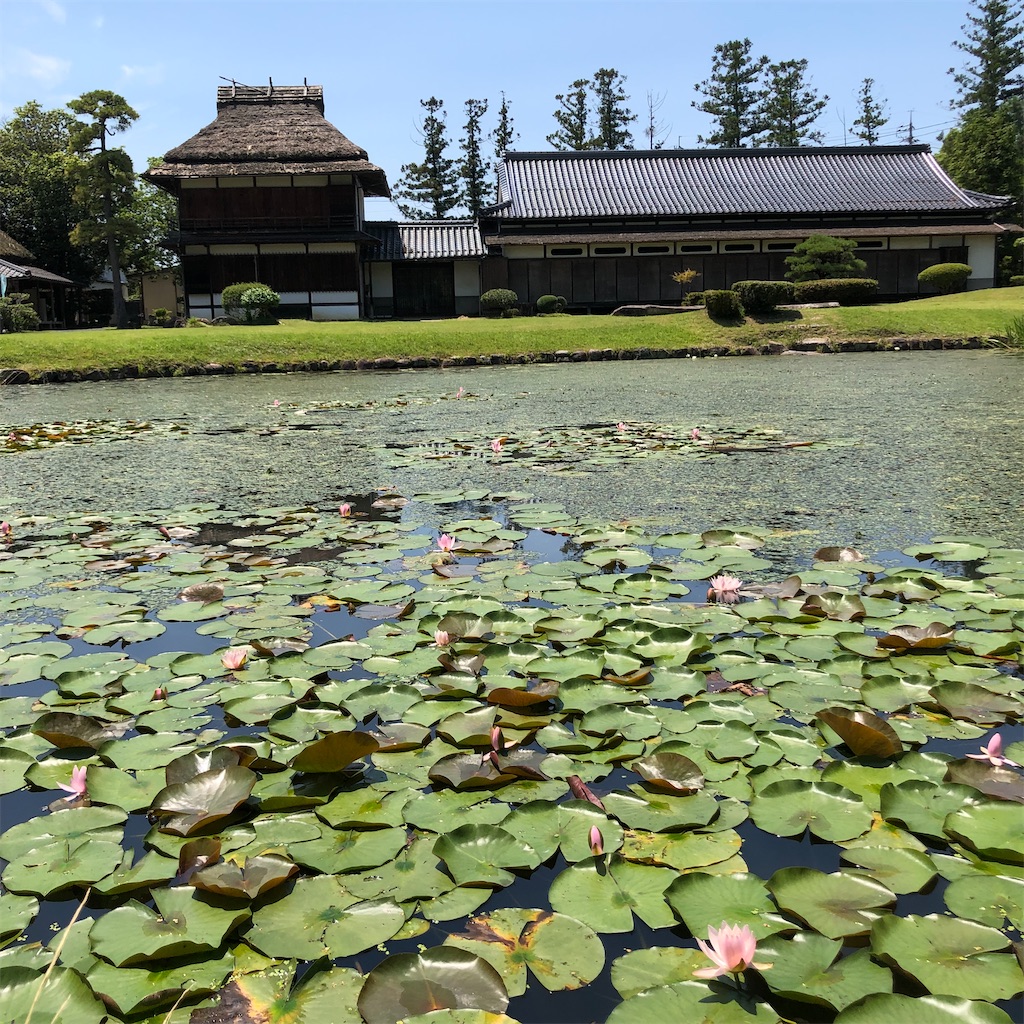 f:id:annesea:20210621201139j:image