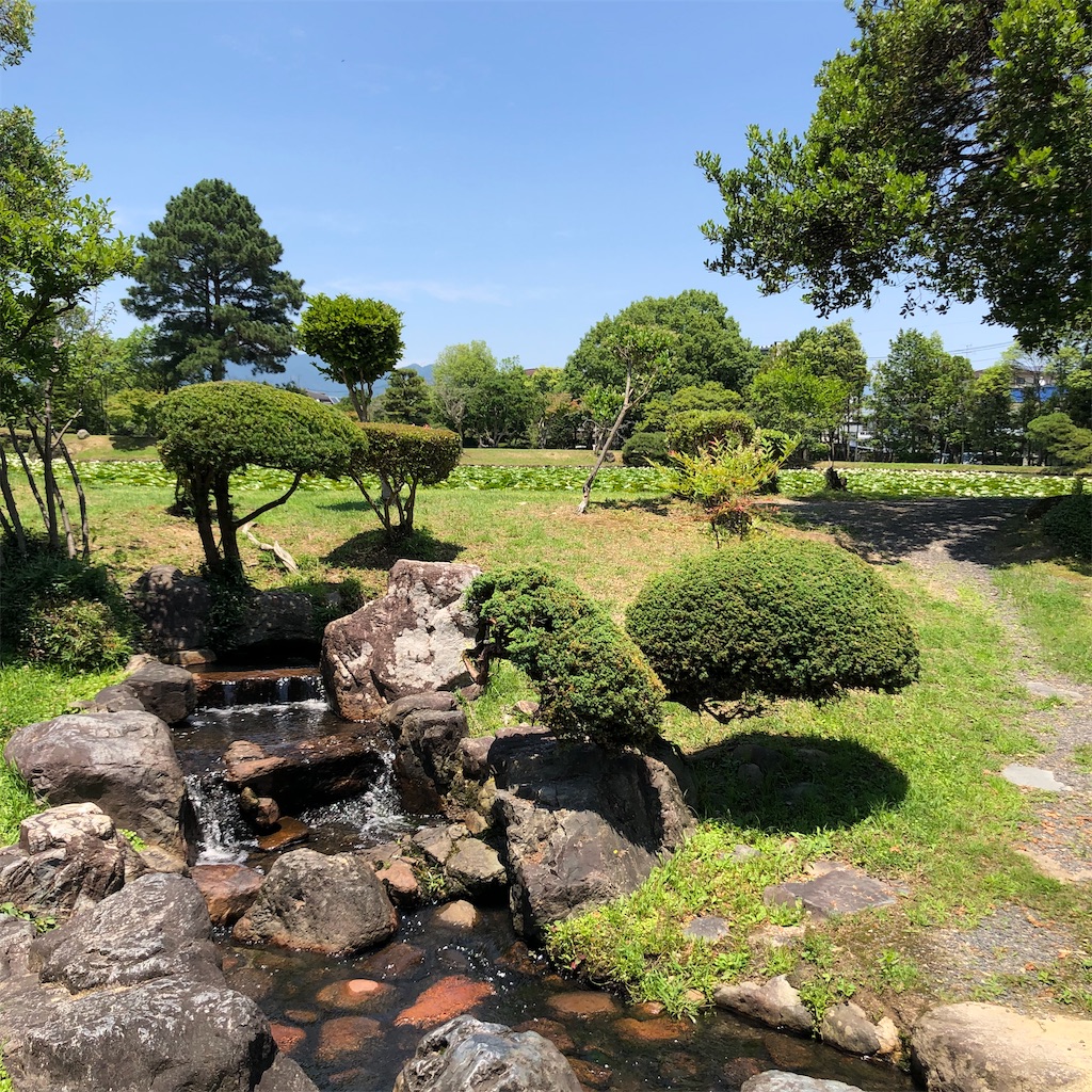 f:id:annesea:20210621201154j:image