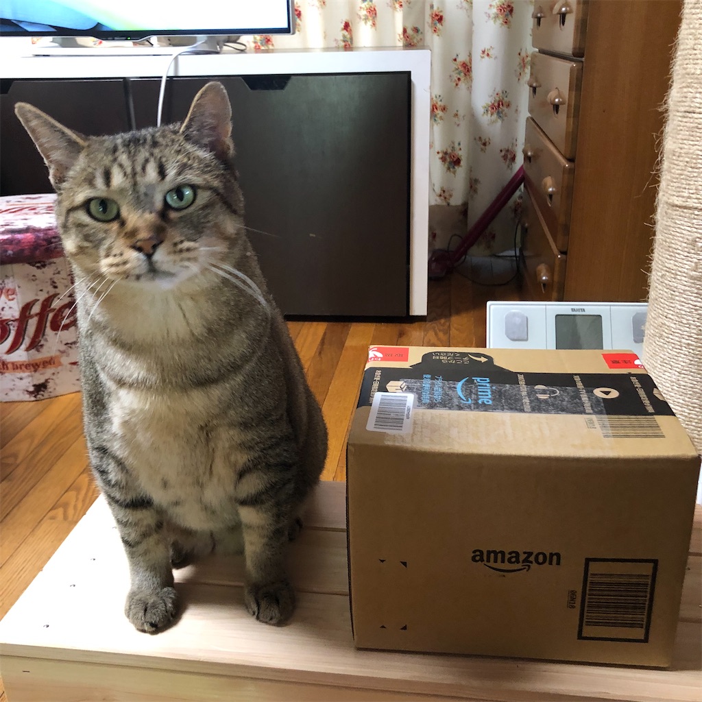 HARIO のティー コーヒーサーバ タイム1000ml - 猫の名はプーチン~The silly alley cat's blog~ HARIO のティー コーヒーサーバ タイム1000ml - 猫の名はプーチン~The silly alley cat's blog~