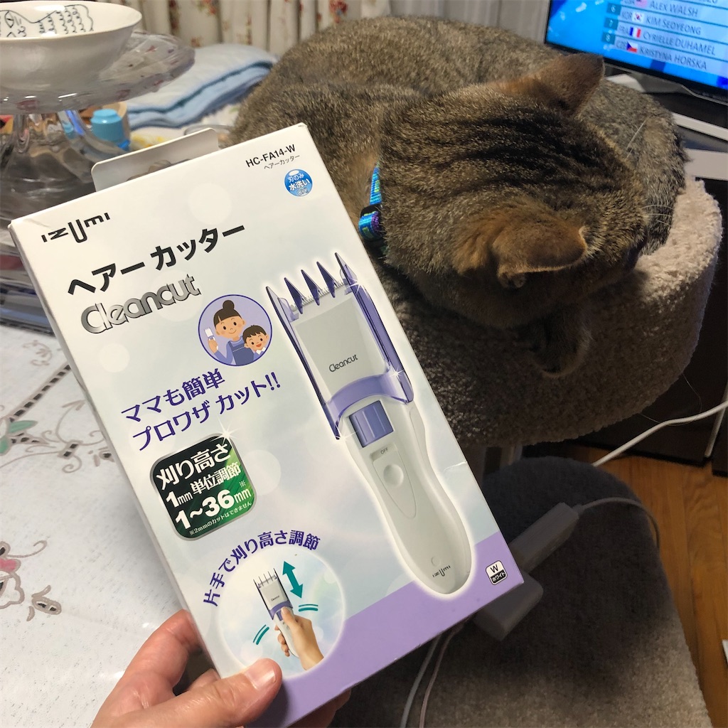 f:id:annesea:20210726195129j:image f:id:annesea:20210726195129j:image