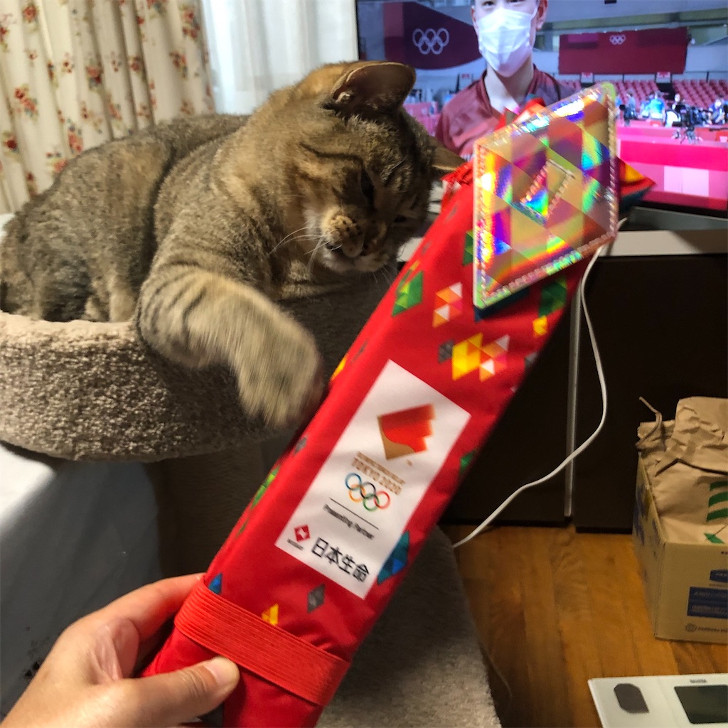 f:id:annesea:20210726202448j:image f:id:annesea:20210726202448j:image