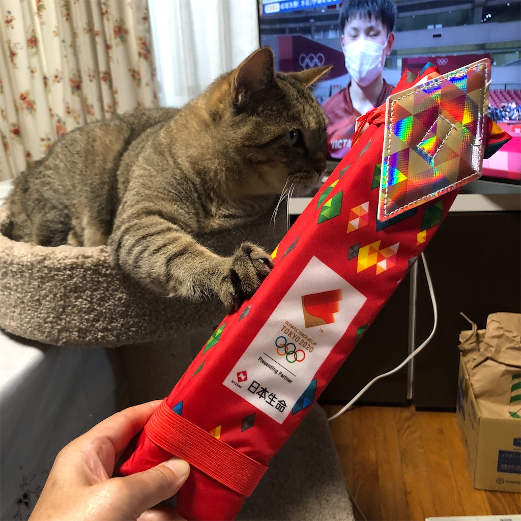 f:id:annesea:20210726202452j:image f:id:annesea:20210726202452j:image