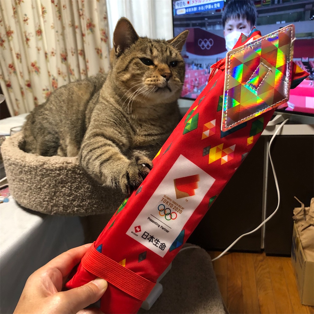 f:id:annesea:20210726202456j:image f:id:annesea:20210726202456j:image