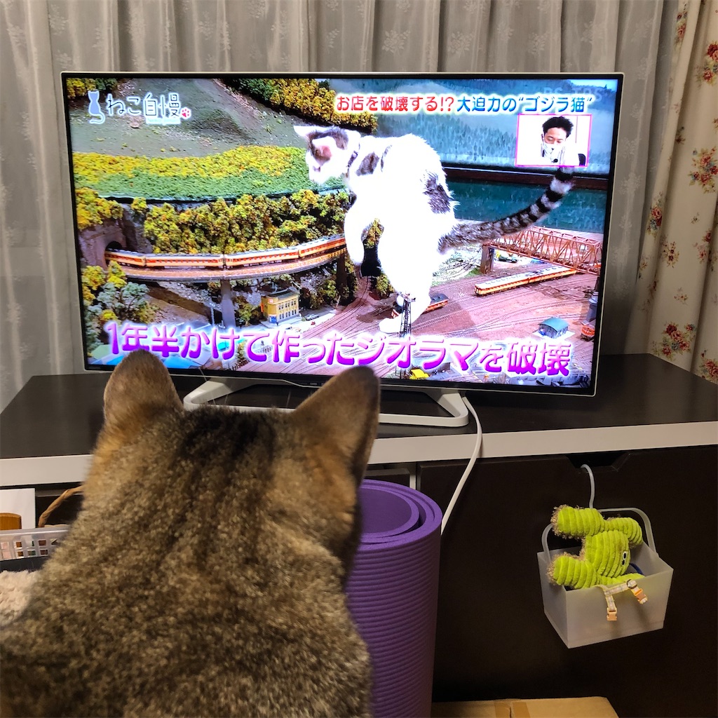 f:id:annesea:20210916210811j:image