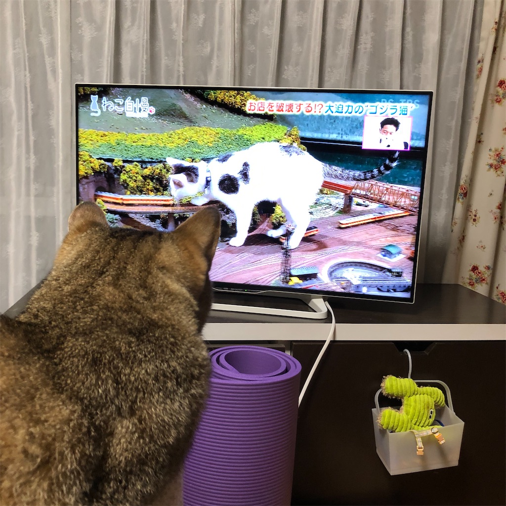 f:id:annesea:20210916210814j:image