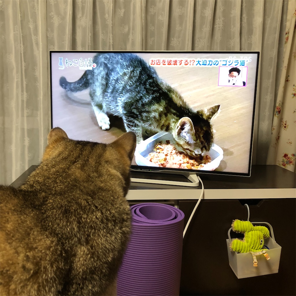f:id:annesea:20210916210816j:image