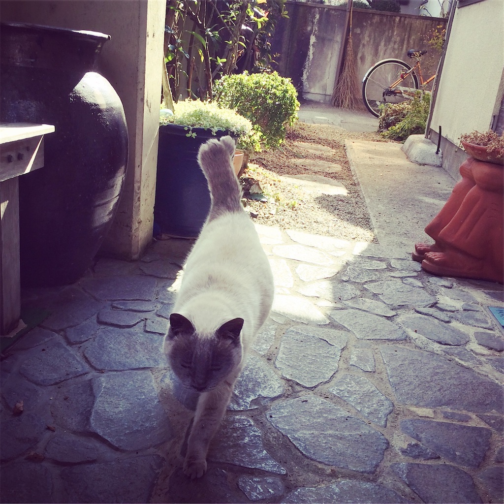 f:id:annesea:20211006142450j:image