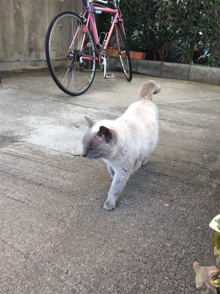 f:id:annesea:20211006142453j:image