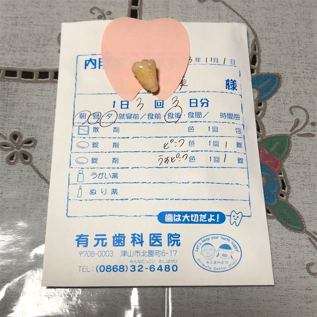 f:id:annesea:20211101175603j:image