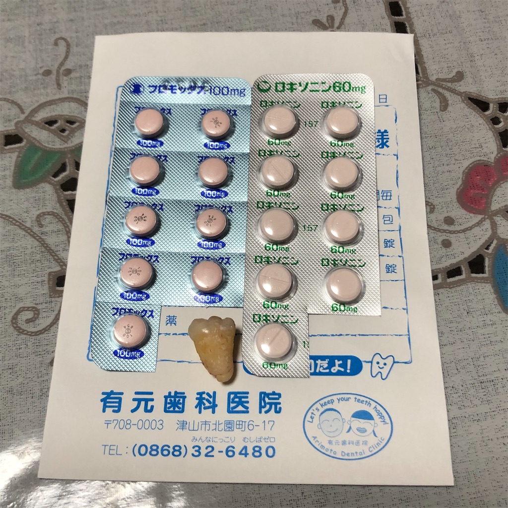 f:id:annesea:20211101175610j:image