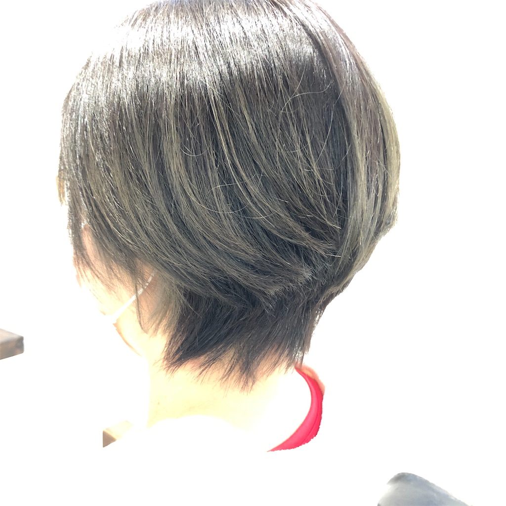 f:id:annesea:20211215222958j:image