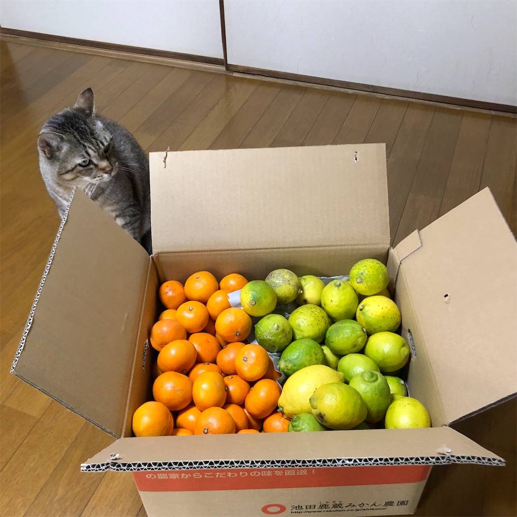 f:id:annesea:20211220192947j:image f:id:annesea:20211220192947j:image