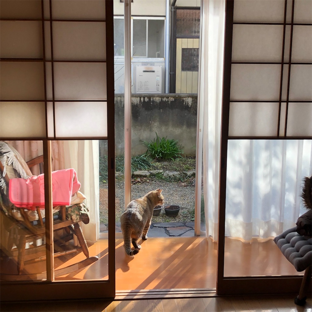 f:id:annesea:20221222195638j:image