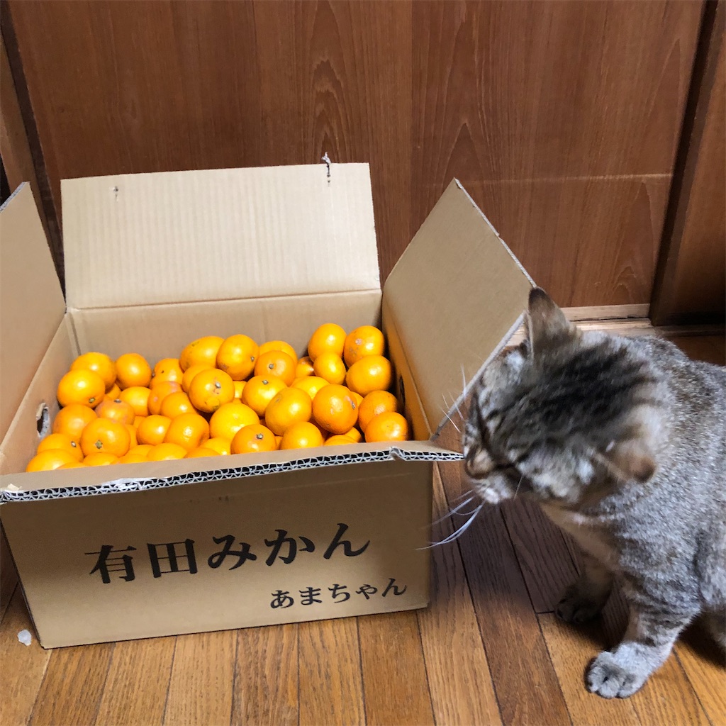 f:id:annesea:20221223223631j:image