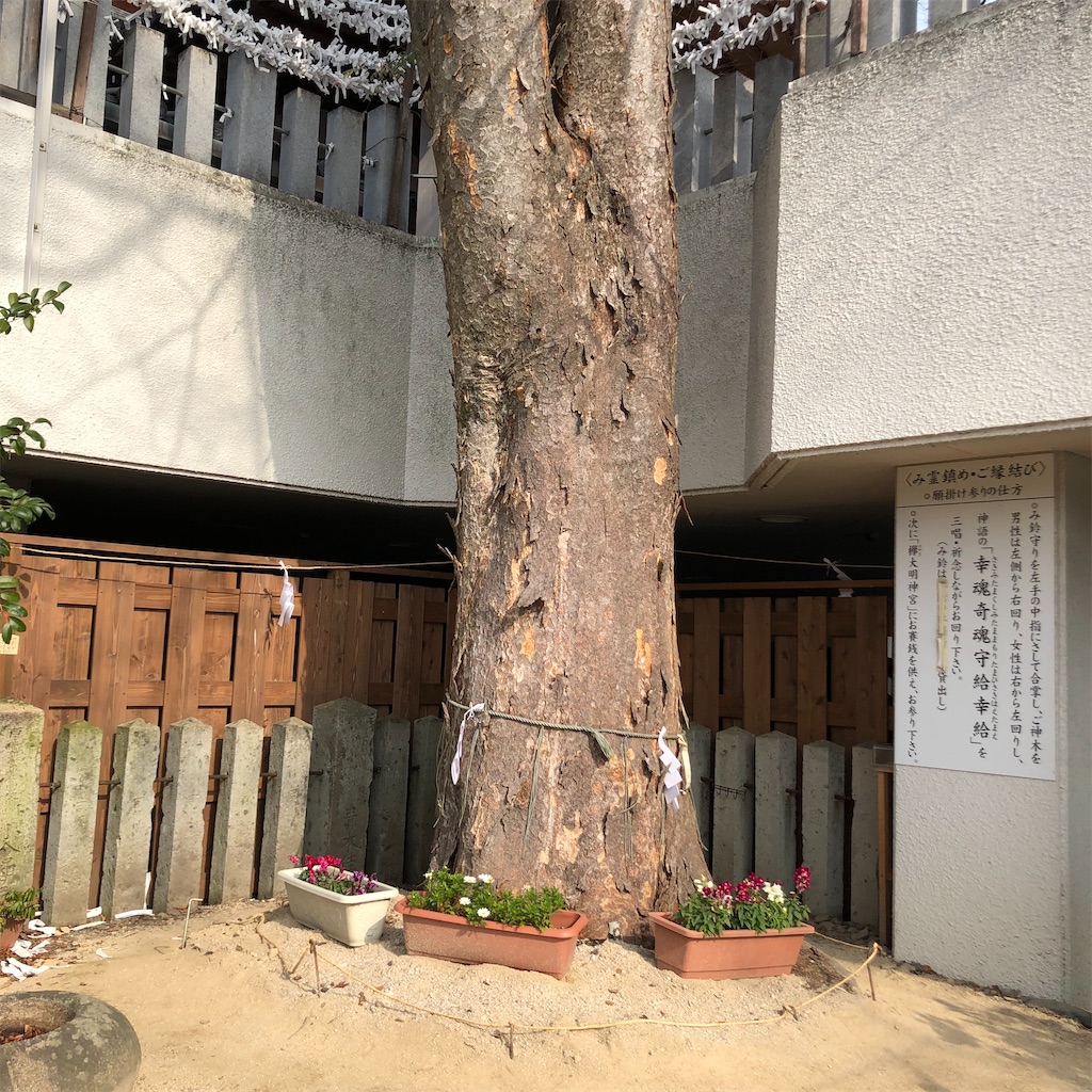 f:id:annesea:20230106222413j:image