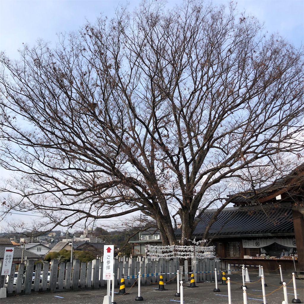 f:id:annesea:20230106222430j:image