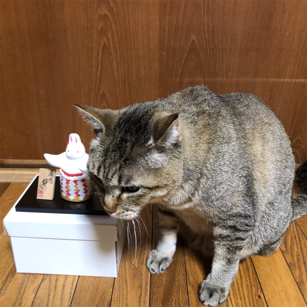 f:id:annesea:20230106222455j:image