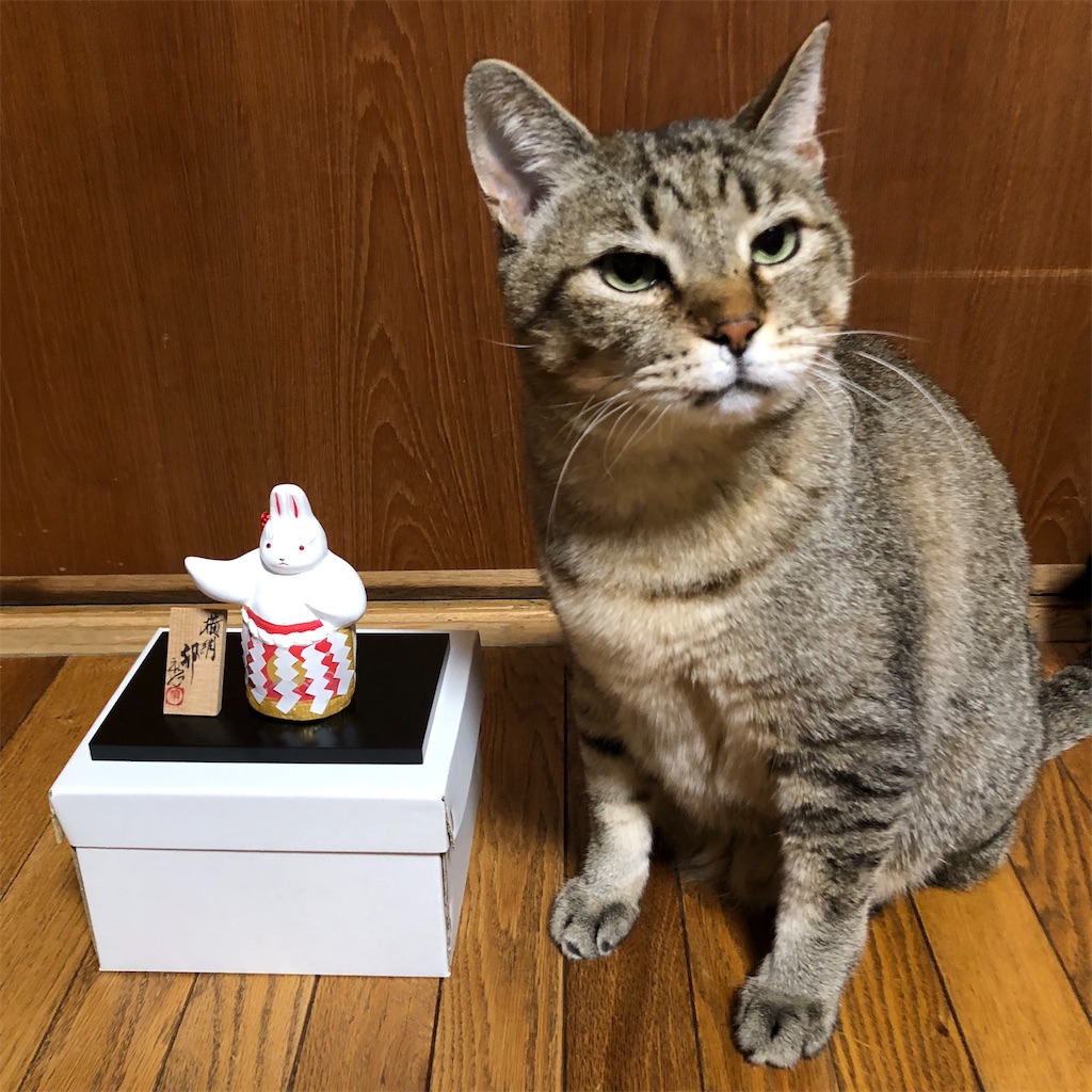 f:id:annesea:20230106222458j:image