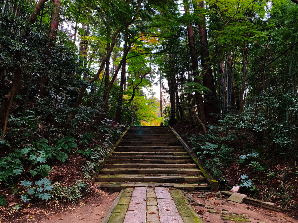 f:id:annex_n:20191202091829j:plain