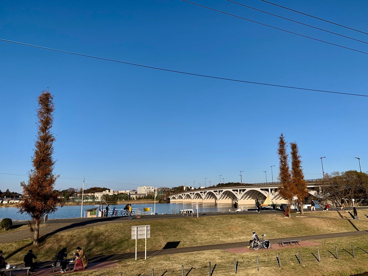 f:id:annex_n:20191208213142j:plain